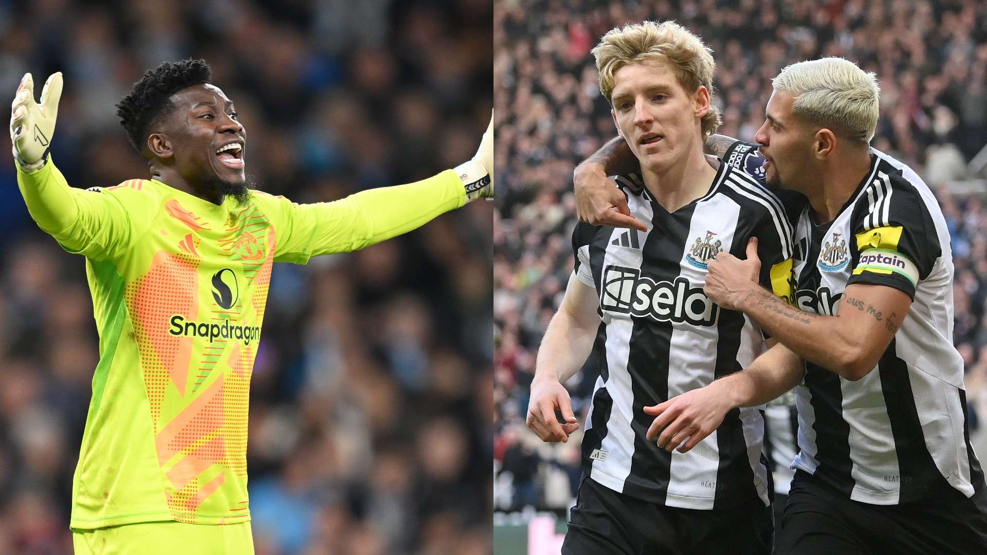 這類選擇容 這類選擇容